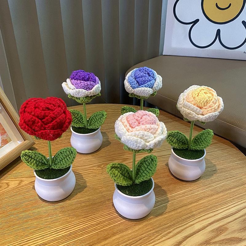 1/2/4Pcs DIY Handwoven Mini Po - Home Office Depot avaliação e preço
