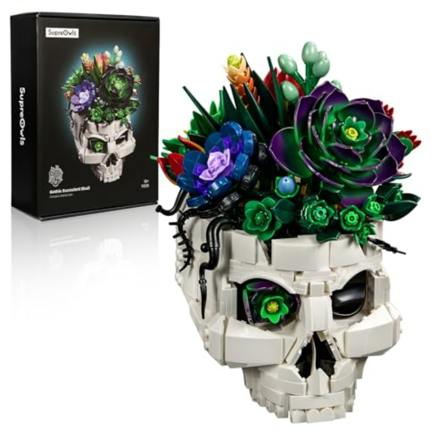 Succulent Skull Planter Buildi - Home Office Depot avaliação e preço