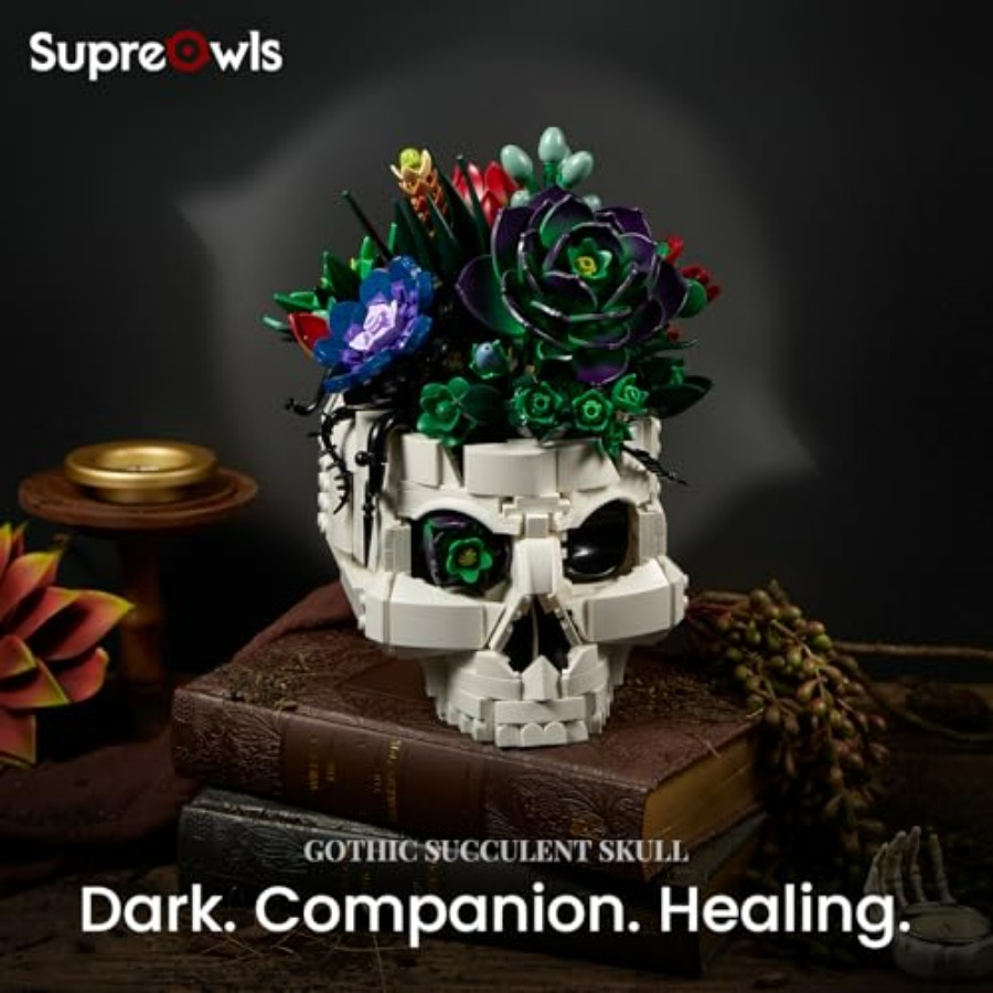 Succulent Skull Planter Buildi - Home Office Depot avaliação e preço