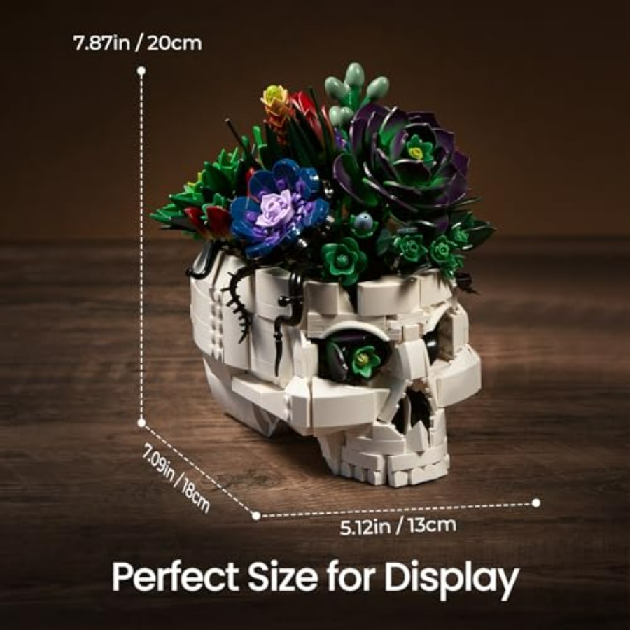 Succulent Skull Planter Buildi - Home Office Depot avaliação e preço