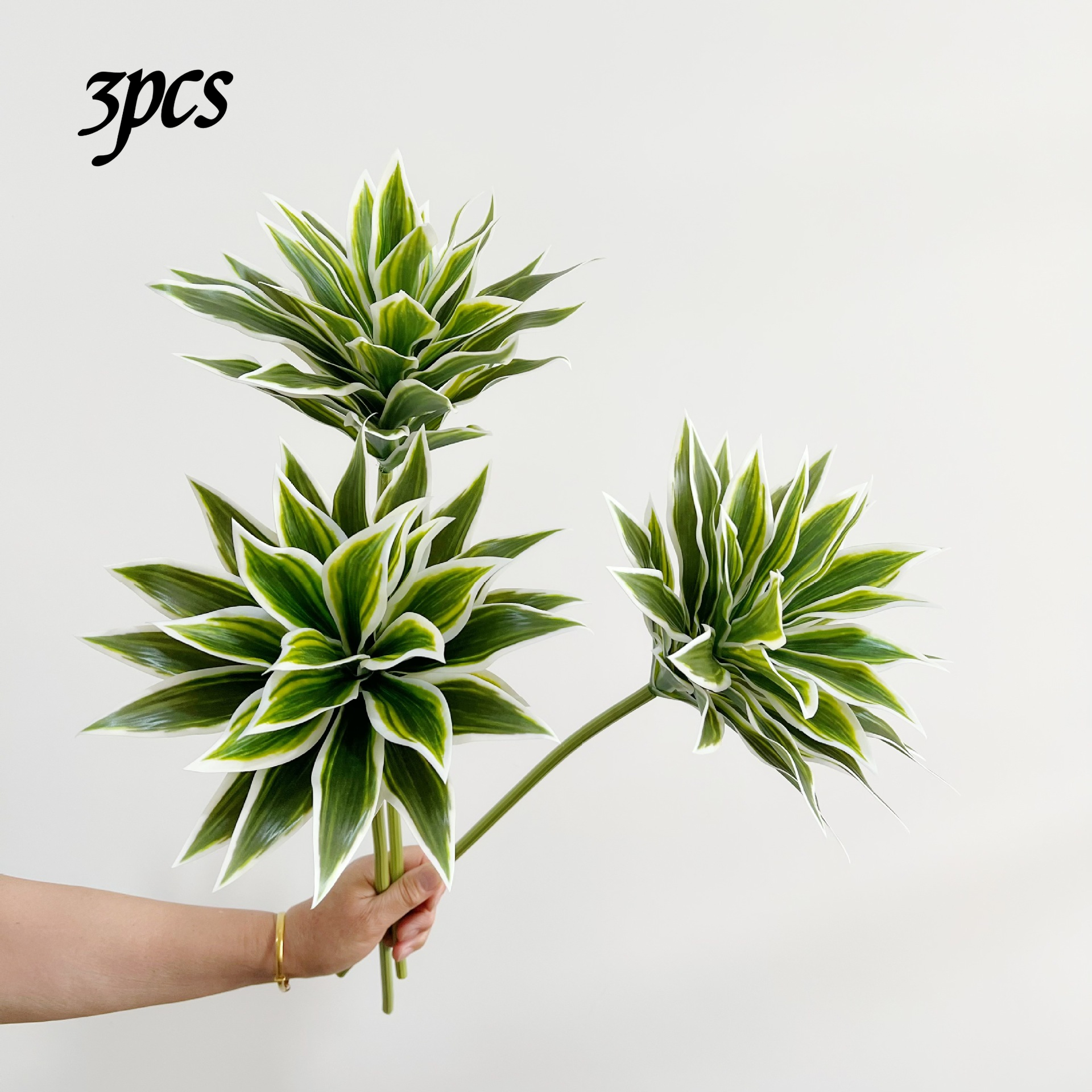 3 Lily Bamboo Potted Plants -  - Home Office Depot avaliação e preço