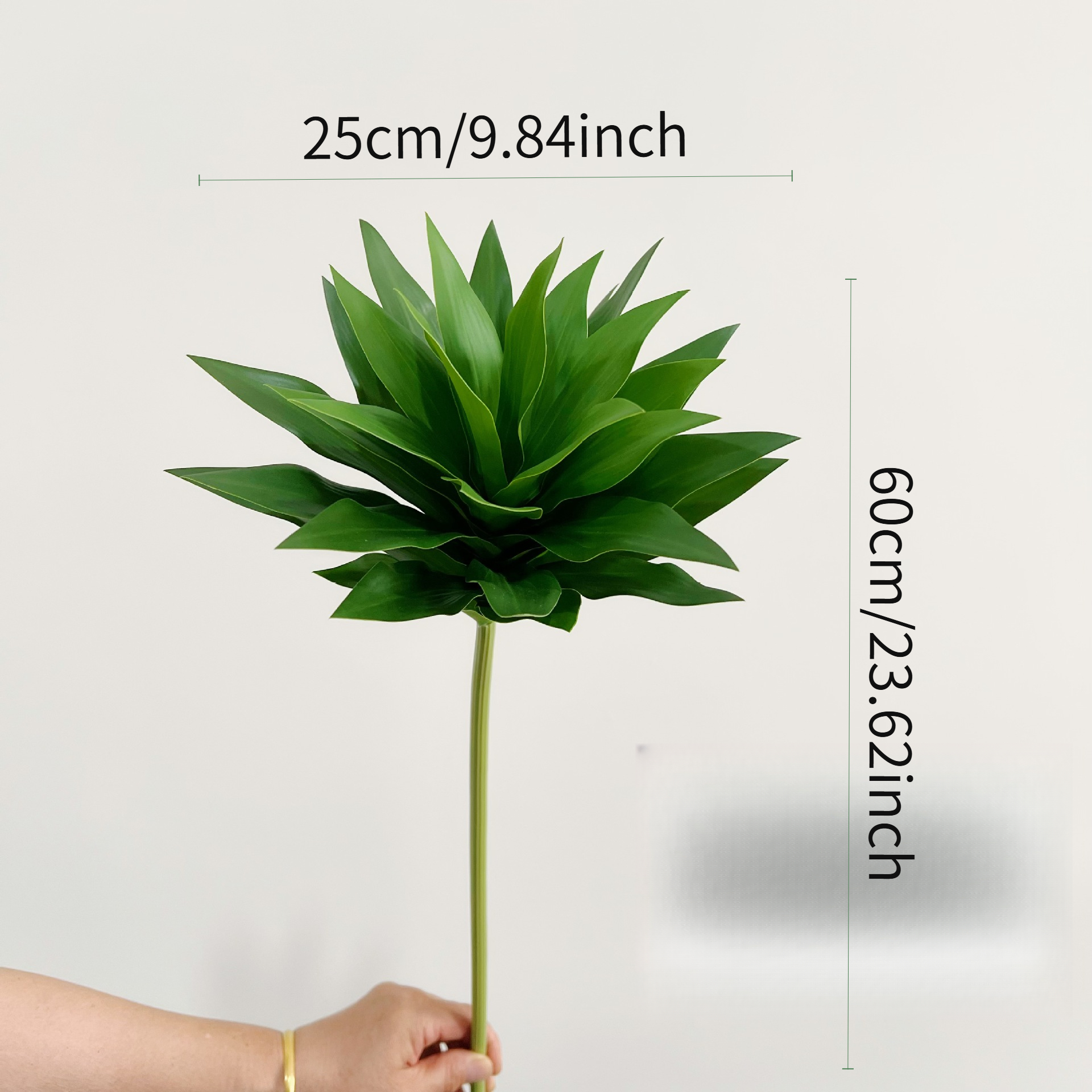 3 Lily Bamboo Potted Plants -  - Home Office Depot avaliação e preço
