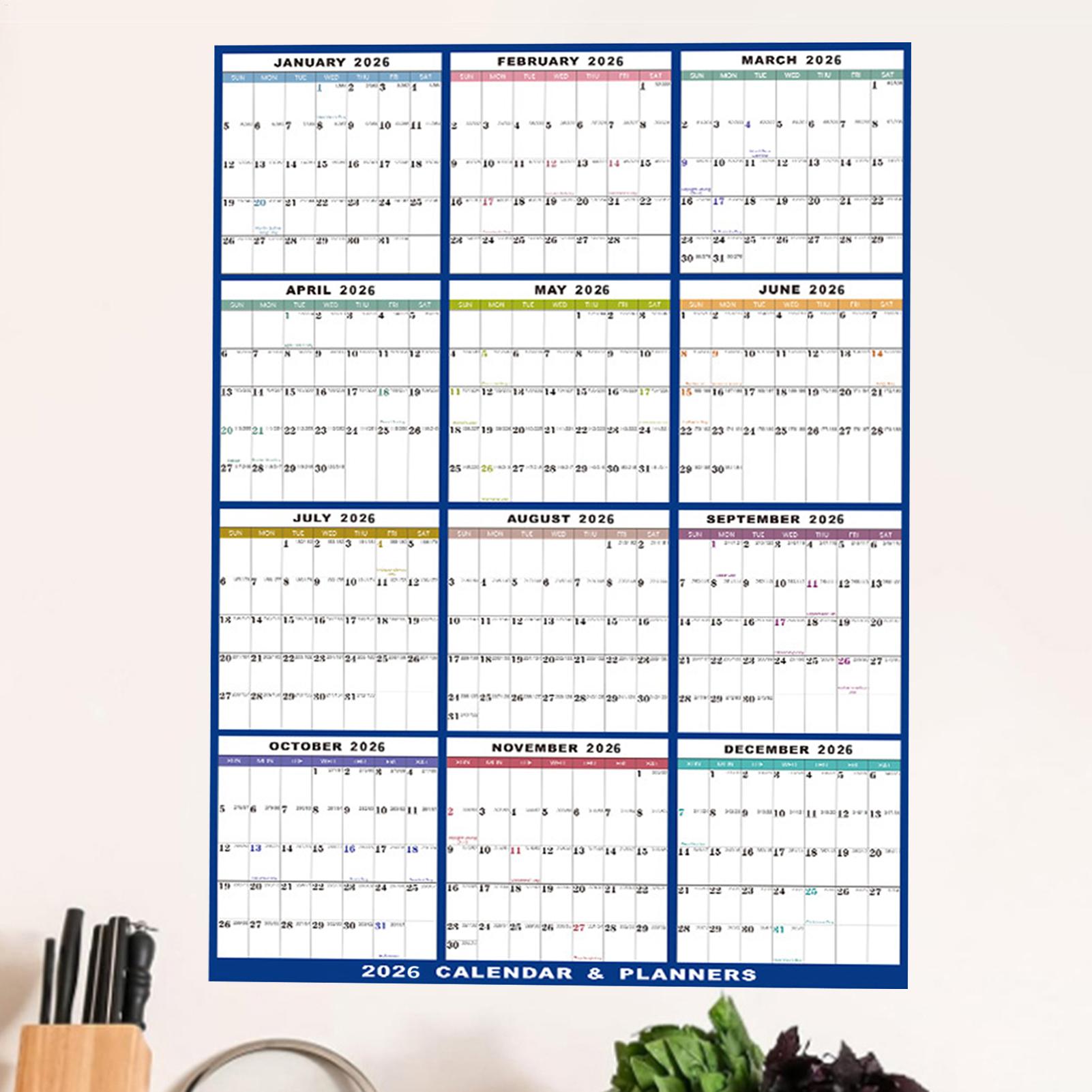 Large Erasable 2026 Wall Calen - Home Office Holidays 2026 avaliação e preço