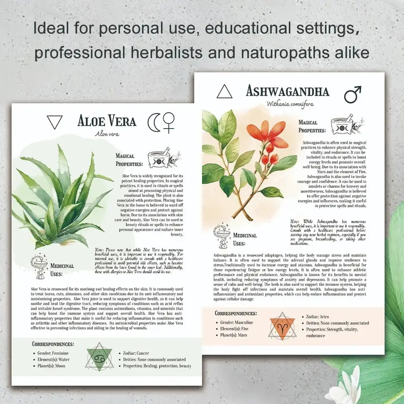 Natural Remedies Handbook with - English Home Office avaliação e preço